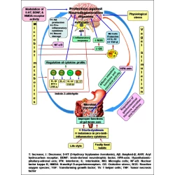 Article figure